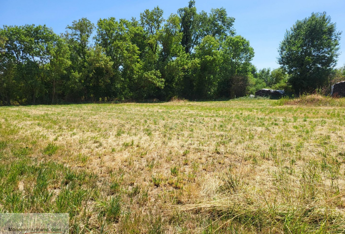vente Terrain constructible Saint Etienne Sur Reyssouze - Photo 3