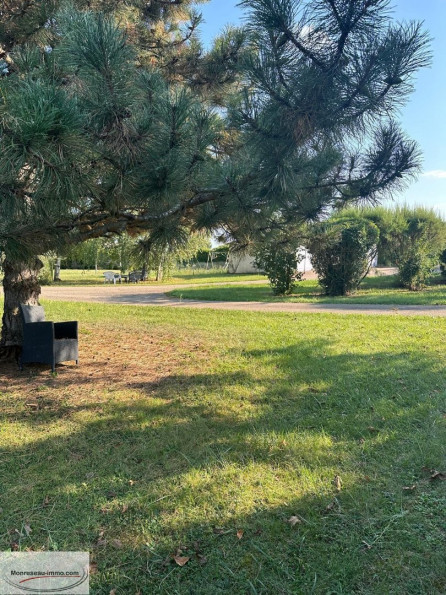 à vendre Terrain constructible Prisse - Photo 5