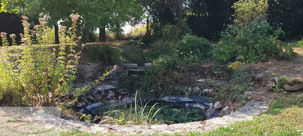 vente Maison et dépendances Villemotier - Photo 4