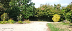 vente Maison et dépendances Villemotier