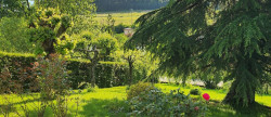 vente Maison La Roche Vineuse