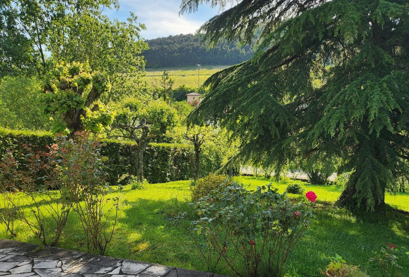 vente Maison La Roche Vineuse - Photo 3