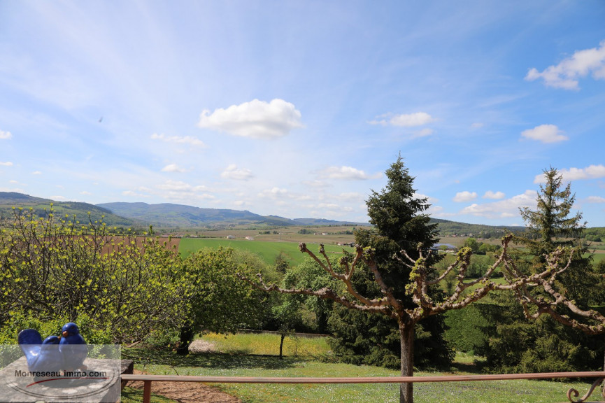 à vendre Maison Chevagny Les Chevrieres - Photo 3