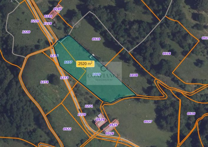 vente Terrain Saint Etienne De Tinee