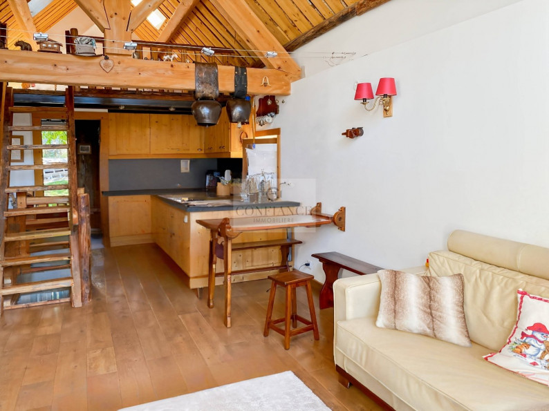 vente Chalet en bois Saint Etienne De Tinee - Photo 4