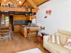 vente Chalet en bois Saint Etienne De Tinee