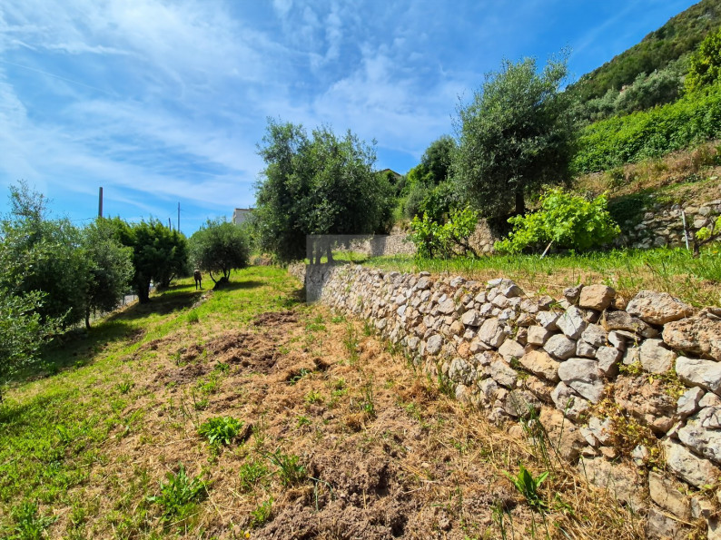 vente Terrain constructible Chateauneuf Villevieille - Photo 6