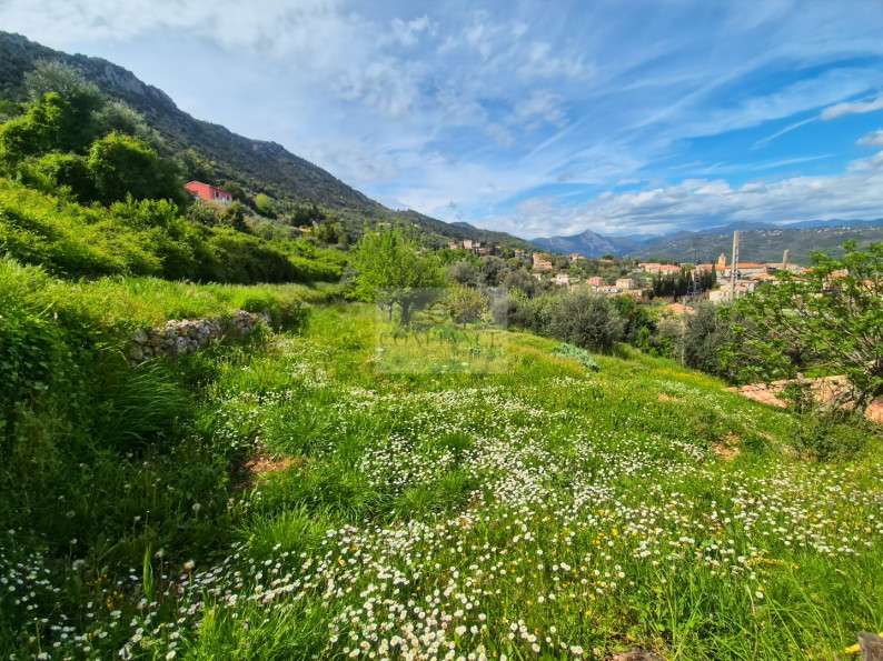 vente Terrain constructible Chateauneuf Villevieille - Photo 1
