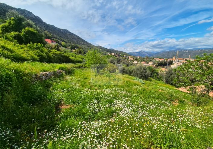 vente Terrain constructible Chateauneuf Villevieille