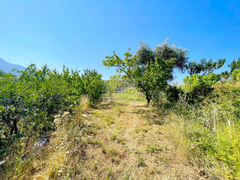 vente Terrain constructible Carros - Photo 1