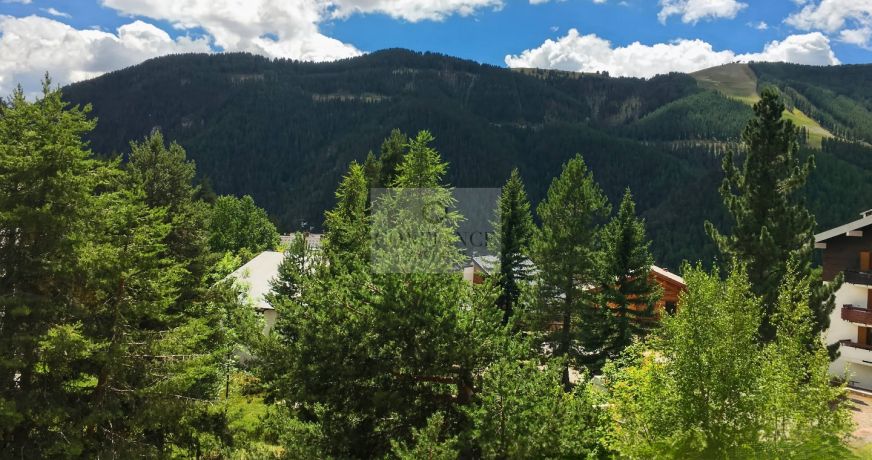 vente Appartement Auron