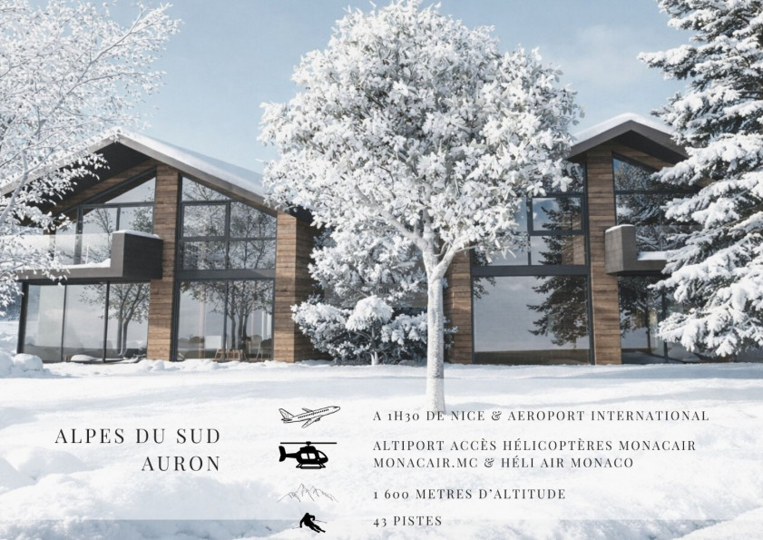 vente Chalet Auron - Photo 2