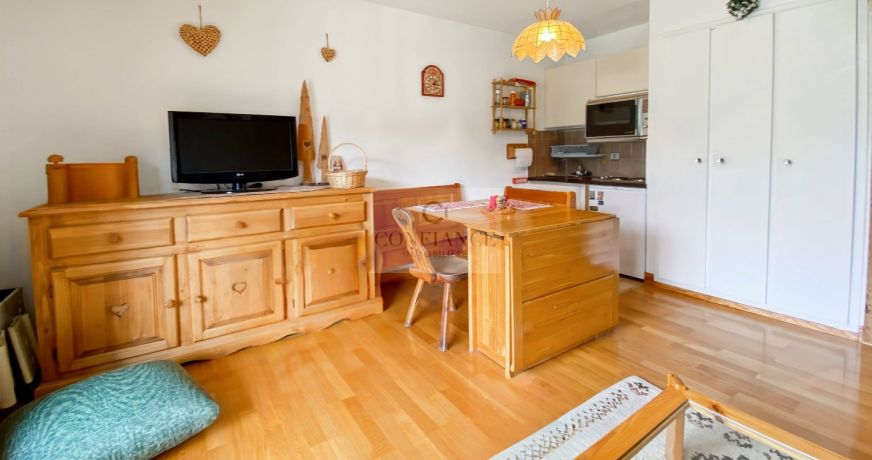vente Appartement Auron