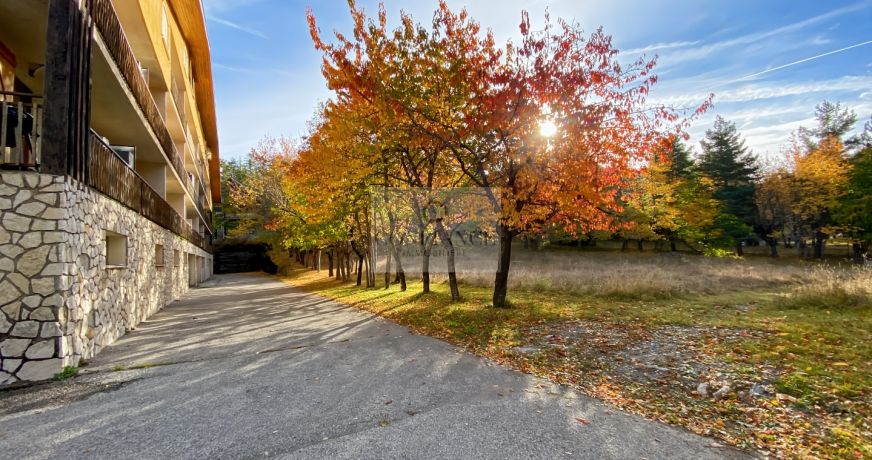 vente Appartement Auron