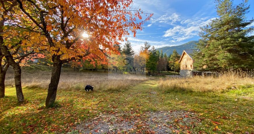 vente Appartement Auron