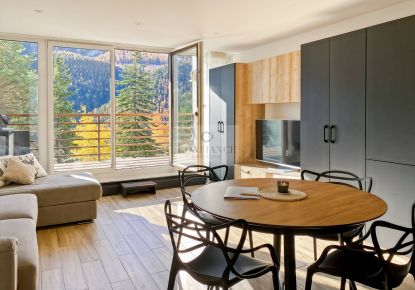 vente Appartement Auron