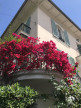 vente Maison bourgeoise Nice