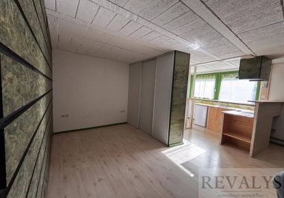 vente Immeuble mixte Plombieres Les Dijon