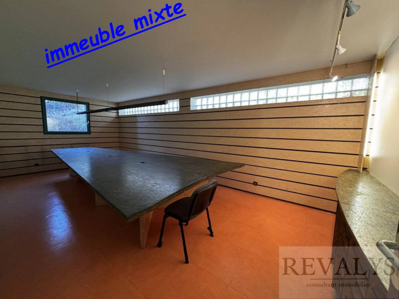 vente Immeuble mixte Plombieres Les Dijon - Photo 1