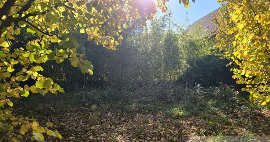 vente Immeuble à rénover Genlis