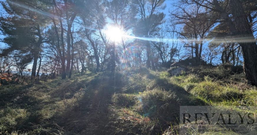 vente Terrain constructible La Gaude