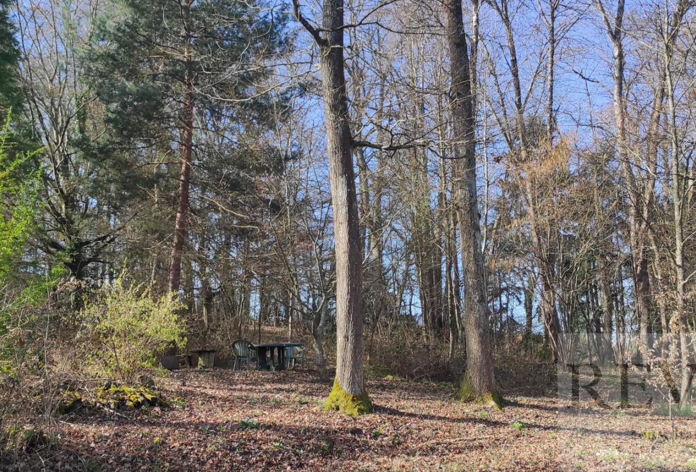 à vendre Maison Autun - Photo 5