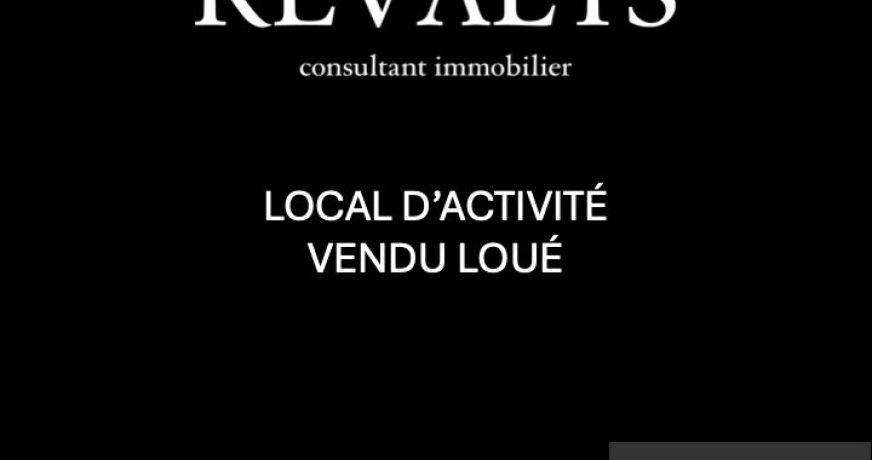 vente Immeuble Fontaine Les Dijon