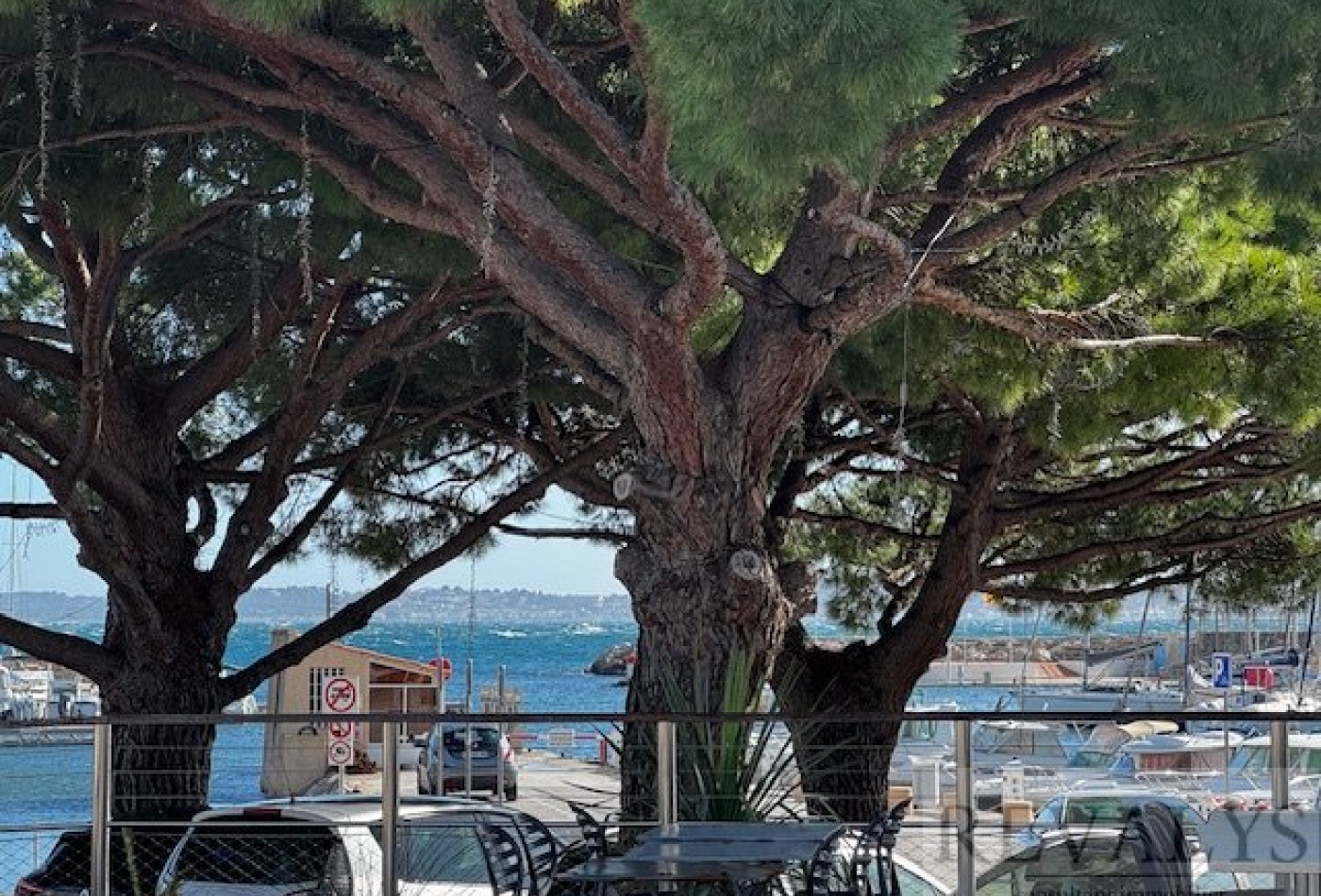 à vendre Appartement Carqueiranne - Photo 9