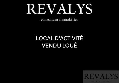 vente Immeuble Fontaine Les Dijon