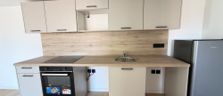 vente Appartement Nice
