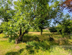 vente Maison Selongey