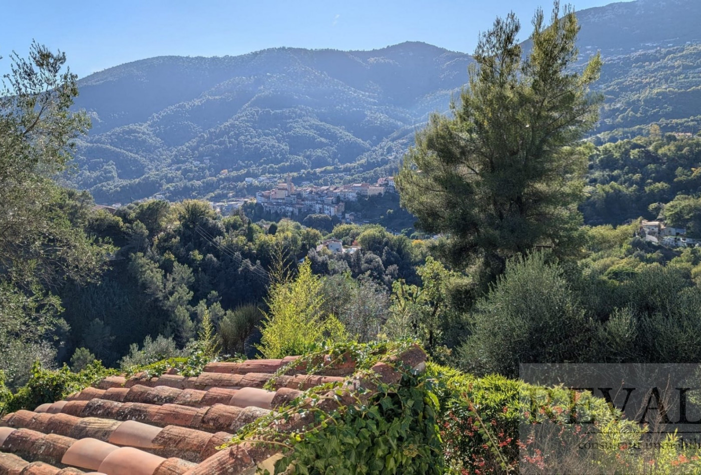 à vendre Maison Contes - Photo 8