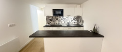 vente Appartement Nice