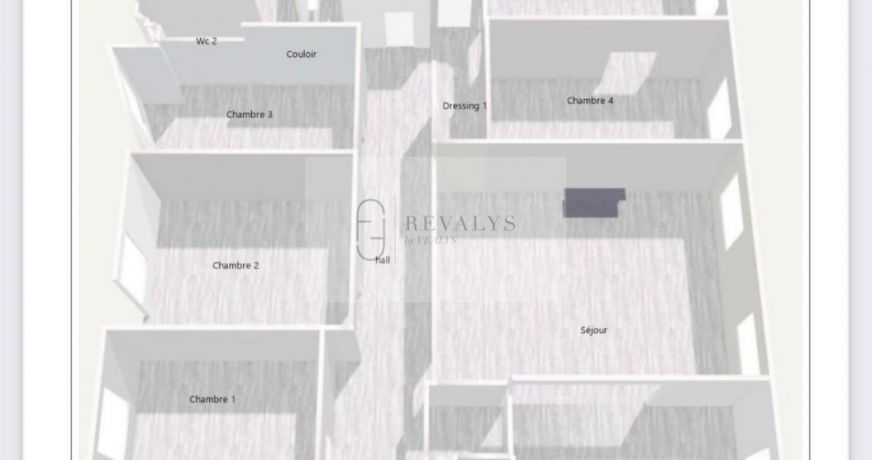 vente Appartement bourgeois Nice