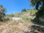 à vendre Terrain agricole Nice