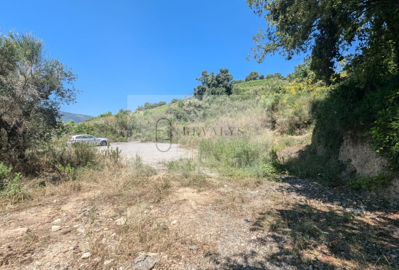 à vendre Terrain agricole Nice - Photo 5