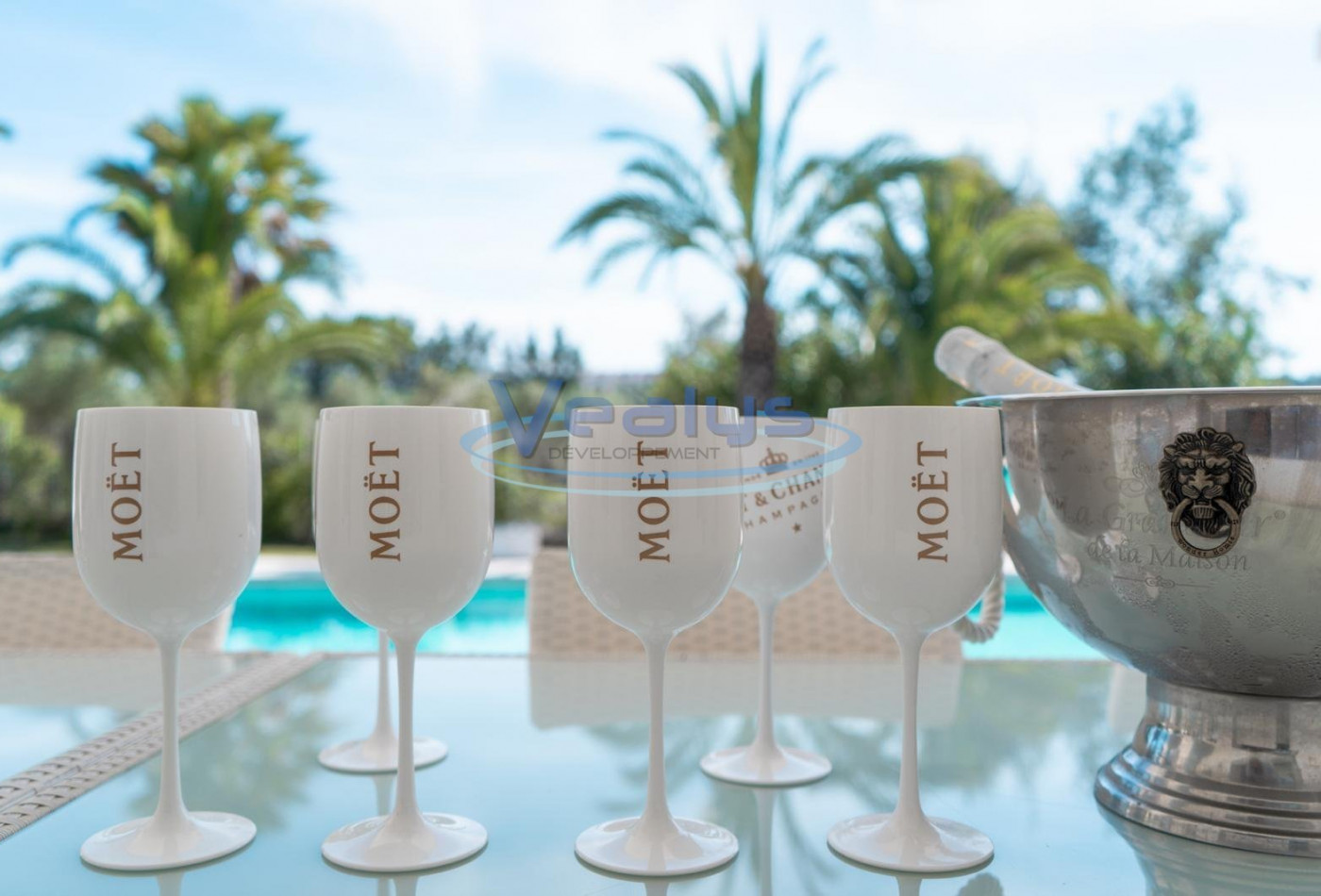 en location saisonnière Villa Nueva Andalucia - Photo 6