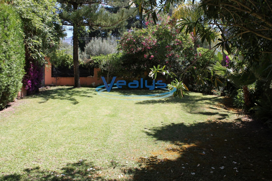 en location saisonnière Villa Nueva Andalucia - Photo 9