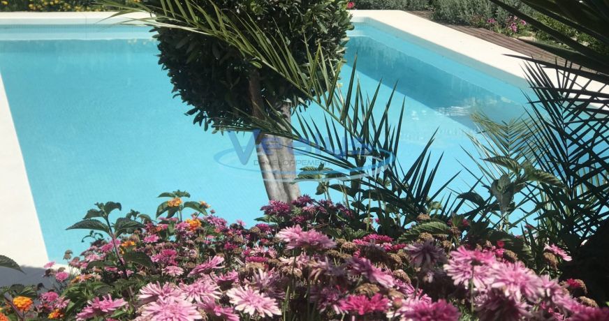 en location saisonnière Villa Marbella