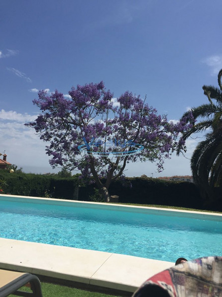 en location saisonnière Villa Marbella - Photo 3