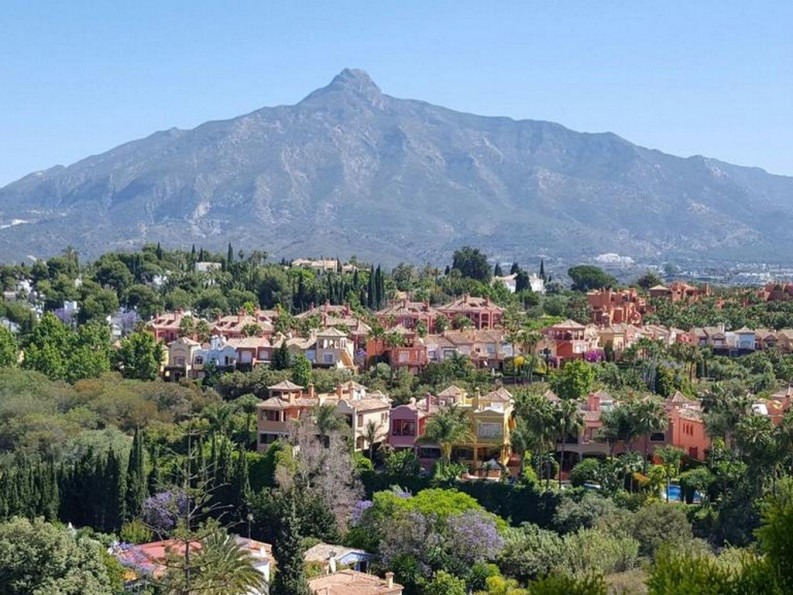 en location saisonnière Villa San Pedro De Alcantara - Photo 4