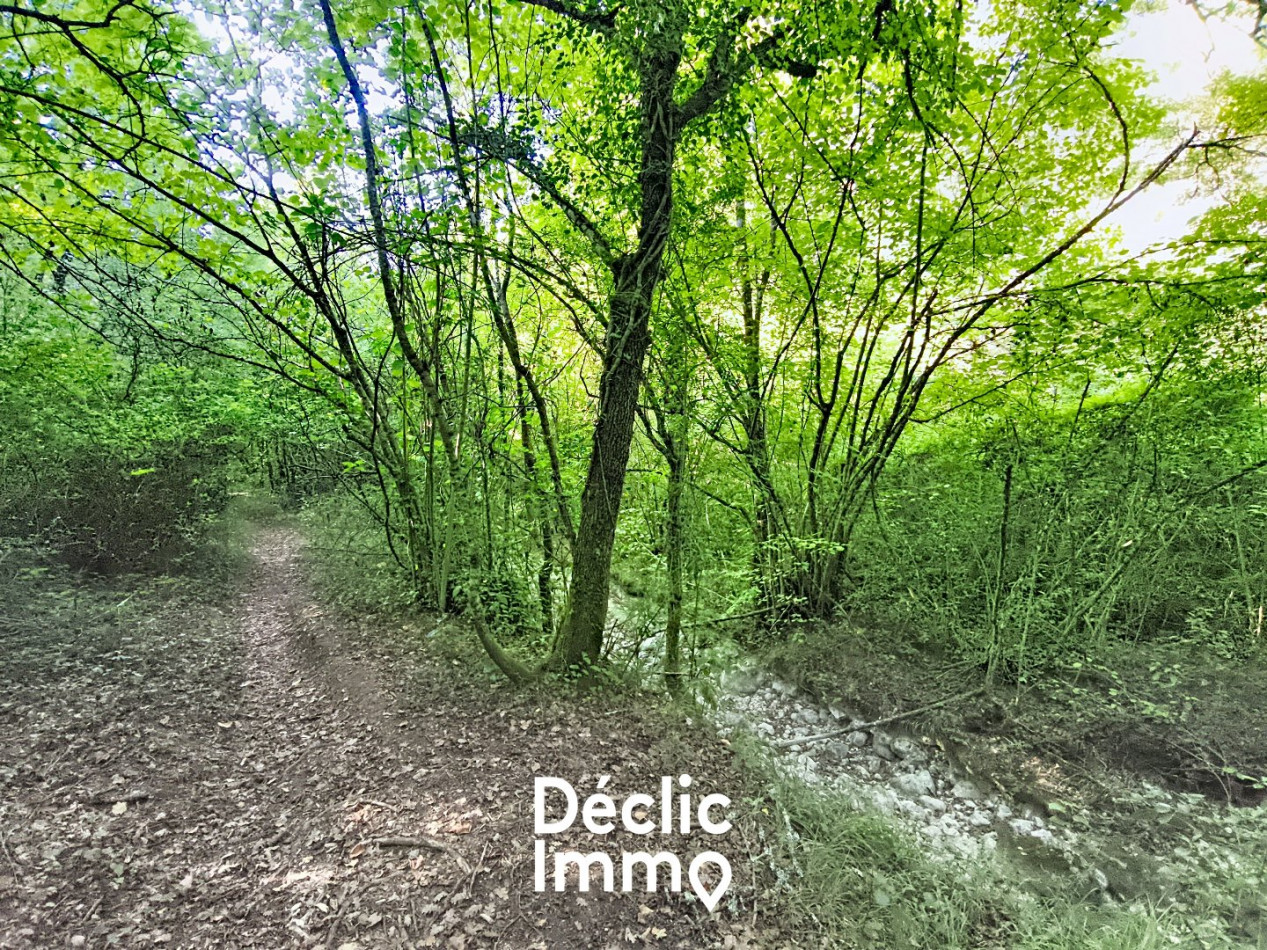 vente Terrain boisé – forêt Tourrettes - Photo 4
