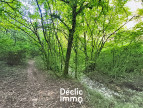 vente Terrain boisé – forêt Tourrettes