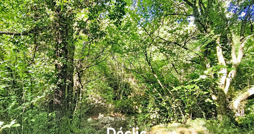 vente Terrain boisé – forêt Tourrettes