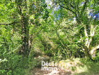 vente Terrain boisé – forêt Tourrettes