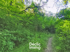 vente Terrain boisé – forêt Tourrettes
