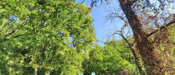 vente Terrain boisé – forêt Tourrettes