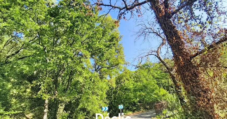 vente Terrain boisé – forêt Tourrettes