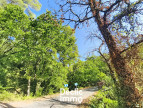 vente Terrain boisé – forêt Tourrettes