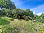 à vendre Maison Vallauris